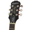 Epiphone Les Paul Standard Plustop Pro HS elektrick gitara