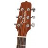 Takamine Series P1NC NEX elektricko-akustick gitara