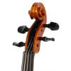 Paesold PA803HV 4/4 husle ″Symphonia″ s puzdrom Paesold PA803HV 4/4 husle ″Symphonia″ s puzdrom