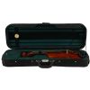 Paesold PA803HV 4/4 husle ″Symphonia″ s puzdrom Paesold PA803HV 4/4 husle ″Symphonia″ s puzdrom