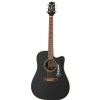 Takamine EG321C elektricko-akustick gitara