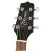 Takamine EG321C elektricko-akustick gitara