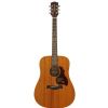 Richwood D50 akustick gitara