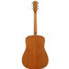 Richwood D50 akustick gitara