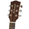 Richwood D50 akustick gitara