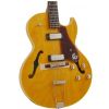 Epiphone Sorrento 1962 anniversary NA elektrick gitara