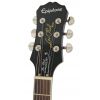 Epiphone Les Paul Standard Quilt Top Pro TL elektrick gitara