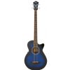 Ibanez AEGB20E TBS elektricko-akustická gitara Ibanez AEGB20E TBS elektricko-akustická gitara