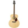Samick J2 N akustick gitara