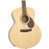 Samick J2 N akustick gitara