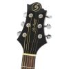 Samick J2 N akustick gitara