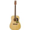 Washburn D10S akustick gitara