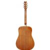 Washburn D10S akustick gitara