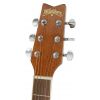 Washburn D10S akustick gitara