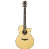 Furch G23-SR elektricko-akustick gitara