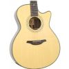 Furch G23-SR elektricko-akustick gitara