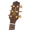 Takamine Series P3DC DRD elektricko-akustick gitara