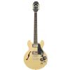Epiphone ES 339 PRO NA elektrick� gitara