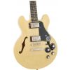 Epiphone ES 339 PRO NA elektrick� gitara