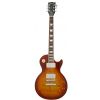 Gibson Les Paul Standard 2013 Premium Birdseye TS elektrick gitara
