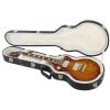 Gibson Les Paul Standard 2013 Premium Birdseye TS elektrick gitara