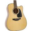 Takamine GD10CE-NS elektricko-akustick gitara