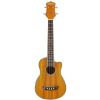 Washburn U50 LCE N