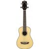 Washburn U30 N