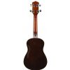 Washburn U30 N
