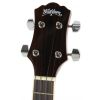 Washburn U30 N