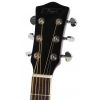 T.Burton Ragent W C BS  akustick gitara