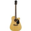 T.Burton Ragent W C N  akustick gitara