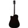 T.Burton Ragent W C N  akustick gitara