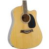 T.Burton Ragent W C N  akustick gitara