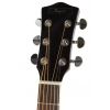 T.Burton Ragent W C N  akustick gitara