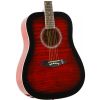 Morrison MGW305 TRD akustick� gitara