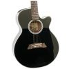 Takamine EF261 SBL elektricko-akustick gitara