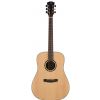 Dowina D111S akustick gitara