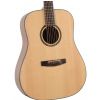 Dowina D111S akustick gitara