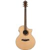 Ibanez AEW 21 VK NT elektricko-akustick gitara
