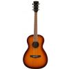 Ibanez PN 15 BS akustick gitara