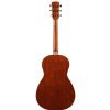 Ibanez PN 15 BS akustick gitara