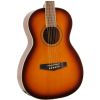 Ibanez PN 15 BS akustick gitara