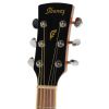Ibanez PN 15 BS akustick gitara