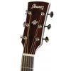Ibanez AVN 1 BS akustick� gitara