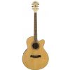 Ibanez AEL 20 E NT elektricko-akustick gitara