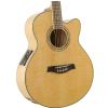 Ibanez AEL 20 E NT elektricko-akustick gitara