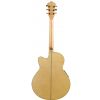 Ibanez AEL 20 E NT elektricko-akustick gitara