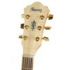 Ibanez AEL 20 E NT elektricko-akustick gitara