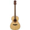 Luna Gypsy Parlor akustick gitara